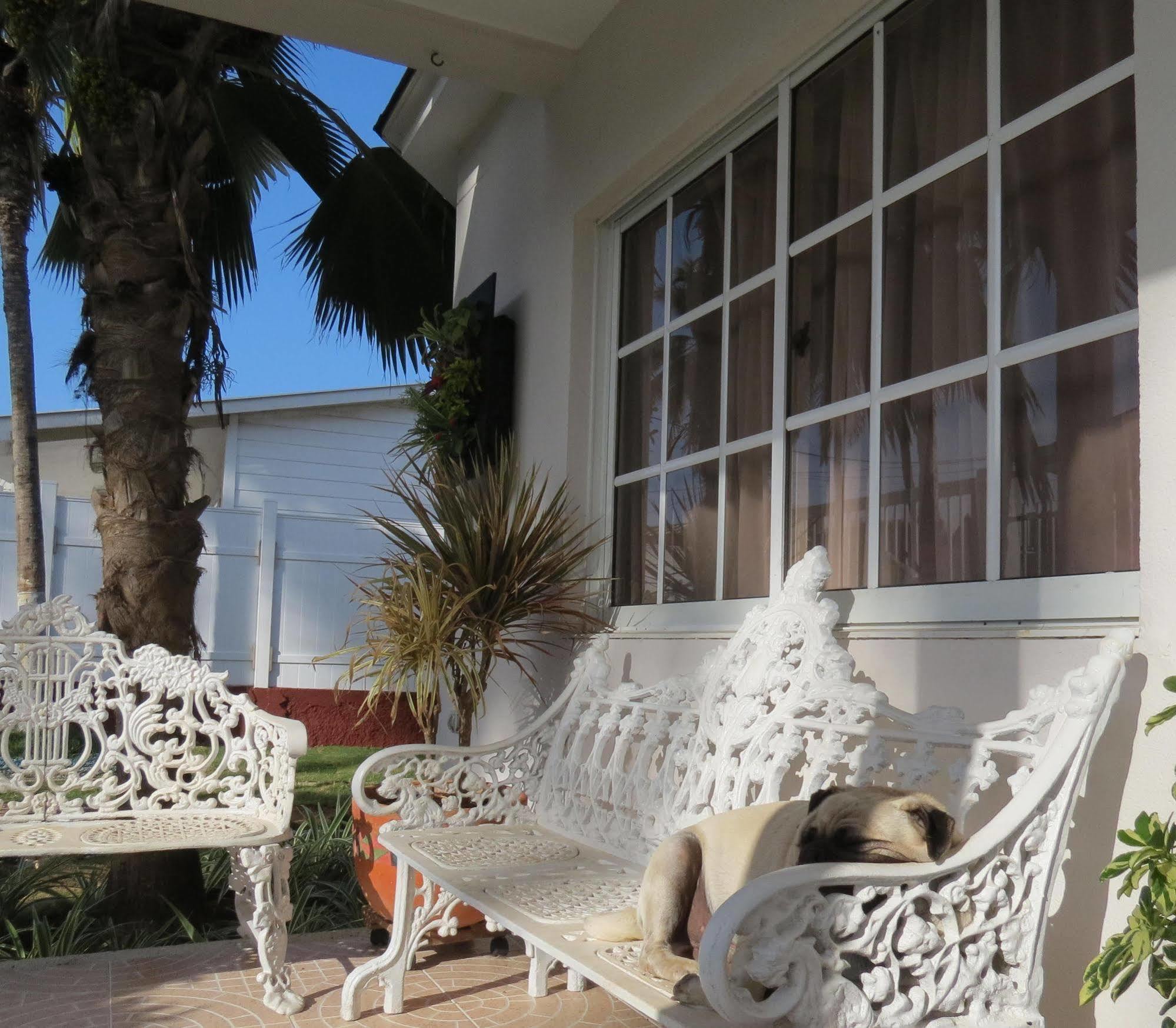 Hostal Mar Y Mar ซานอันเดรส ภายนอก รูปภาพ